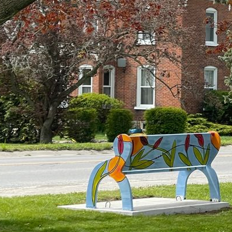 park bench in Wellington park.